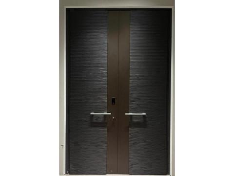 Elevate Spaces with Premium Pivot Door Designs