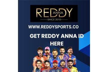 Reddy Anna ID