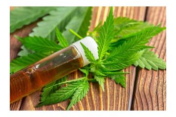 Buy Synthetic Cannabinoids Online – Trusted Source