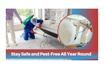 Pest Control Mitcham – Professional Care for a Cleaner Environment
