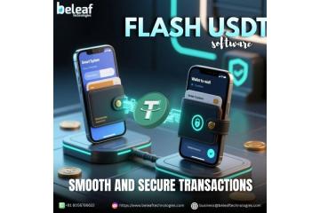 Flash USDT Software for Smooth and Secure Transactions