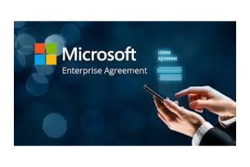 Microsoft Enterprise Partner
