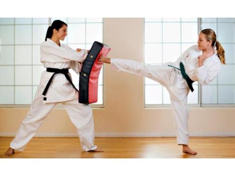 Adult Taekwondo Training