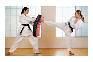 Adult Taekwondo Training