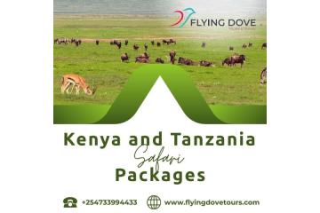 Kenya and Tanzania Safari Packages 
