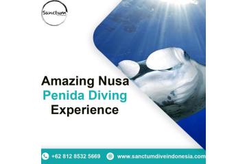 Amazing Nusa Penida Diving Experience