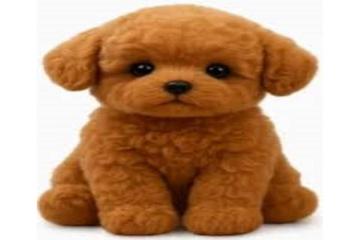 Wuffy Robot Dog Reviews: The Interactive Robo Pet Everyone Is Talking!