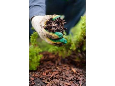 Wood Chipping Mulch Supply Northern Beaches | Sam's Tree Services North Shore
