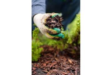 Wood Chipping Mulch Supply Northern Beaches | Sam's Tree Services North Shore