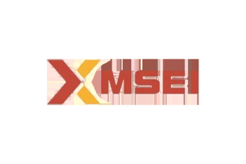 Metropolitan Stock Exchange MSEI Unlisted Share Price