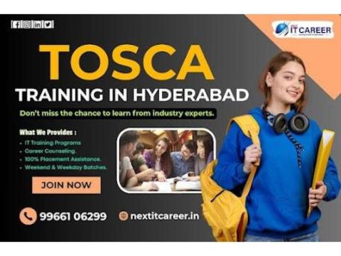 Master Tosca Automation with Industry-Leading Training in Chennai - 2/2