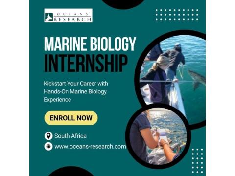Marine Biology Internship South Africa