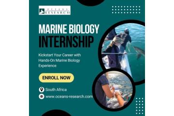 Marine Biology Internship South Africa
