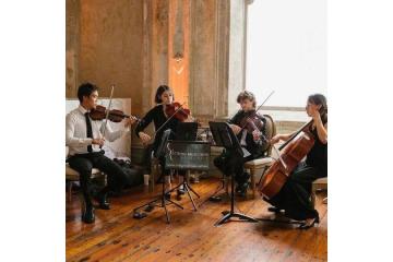 Beautiful String Quartet Hobart | Music by String Musicians Australia