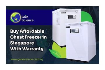 Best Price Chest Freezer Singapore with Warranty Options