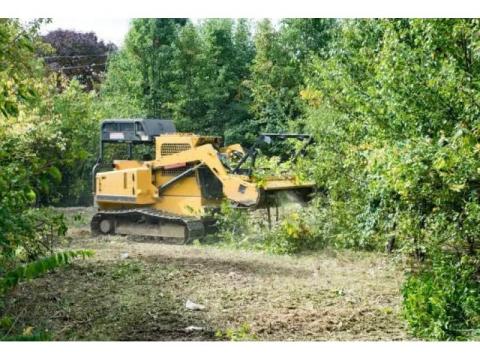 Eco-Friendly Organic Land Clearing in Hilo - Arborist Services 