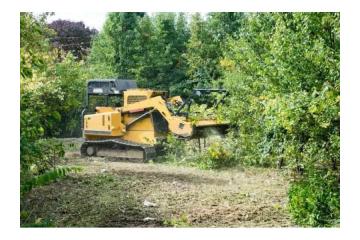 Eco-Friendly Organic Land Clearing in Hilo - Arborist Services 