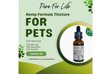 Support Your Pets Daily Wellness