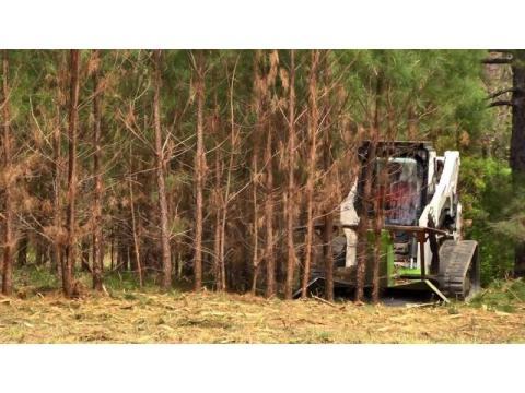 Forestry Clearing Services Across the Big Island 