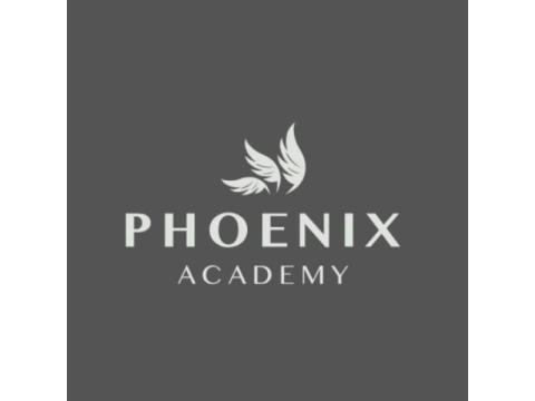 Personal Development Coaching: Phoenix Academy