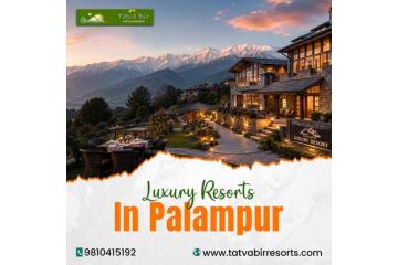 Luxury Resorts in Palampur for Relaxing Stay