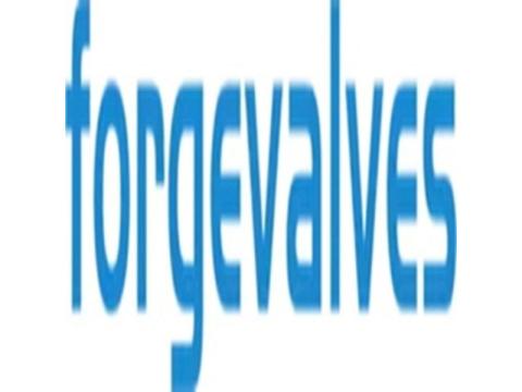 China Forged Valves Co., Ltd.