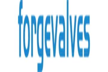 China Forged Valves Co., Ltd.