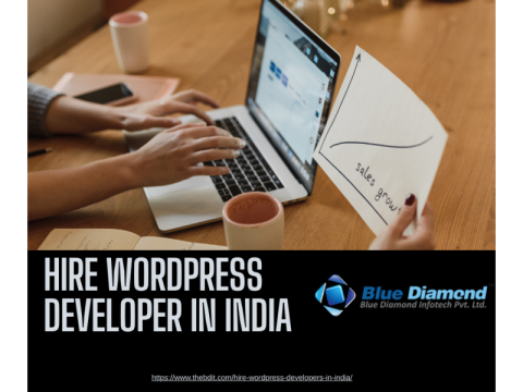 Hire Wordpress Developer in India | Affordable WP Experts 