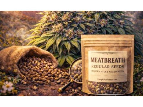 Cannabis Seeds Online in Fort Lauderdale – Find Premium Genetics Delivered Discreetly