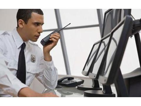 Professional Security Services by Custodian
