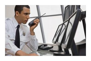 Professional Security Services by Custodian