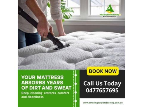 Trusted Carpet Cleaning Experts in North Brisbane Near You