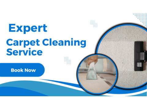 Bring Carpets Back to Life with Carpet Cleaning Dulwich Hill