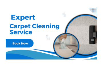 Bring Carpets Back to Life with Carpet Cleaning Dulwich Hill