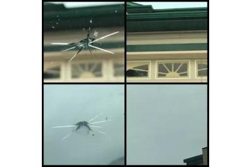 Windshield Chip Repair