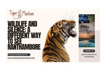 Wildlife and Silence: A Different Way to See Ranthambore
