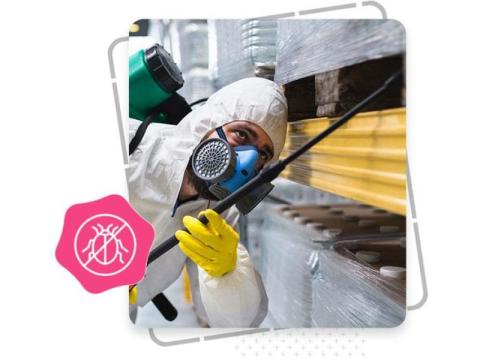 Dubai SEO Company for Pest Control Businesses | Get More Local Leads