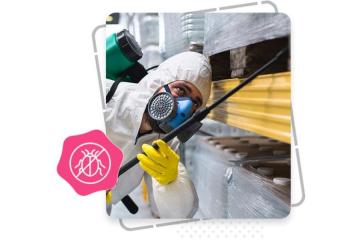 Dubai SEO Company for Pest Control Businesses | Get More Local Leads