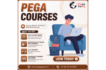 Advanced Pega Courses for Enterprise Architecture and Process Automation
