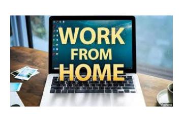 US Form Filling Project - Bulk & Single-System Data Entry 7708244092
