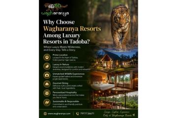 Why Choose Wagharanya Resorts Among Luxury Resorts in Tadoba?