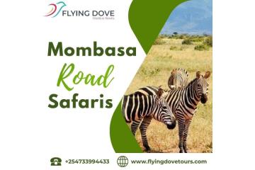 Mombasa Road Safaris